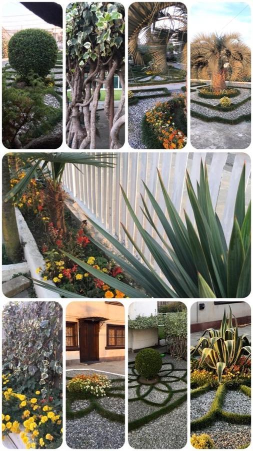 Green Garden Zugdidi Exterior photo
